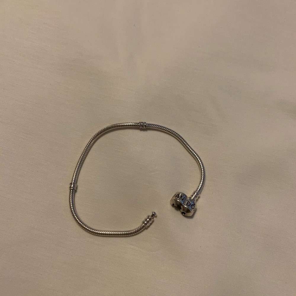 Pandora charm bracelet